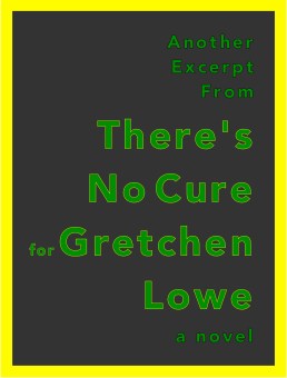 Another Excerpt From There's No Cure for Gretchen Lowe a novel