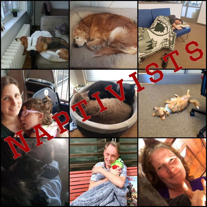 Top left-right: A basset hound sleeping; a golden retriever napping; a white woman napping on a couch in an office; middle row left-right: a white woman holding a small sleeping child; 2 cats curled in a basket; a little dog napping belly-up on an office floor; bottom row left-right: a woman napping with a cat; a white guy cuddling a blanket and stuffed frog; a lounging white woman