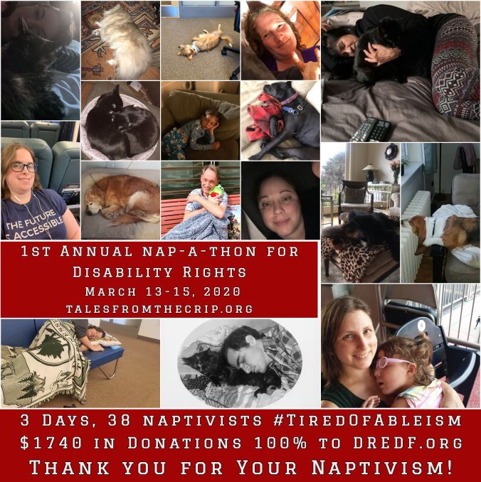 Photo collage of 17 naptivists, including adults, children, dogs, and cats. Described in post below. Text: 1st Annual Nap-a-thon for Disability Rights March 13-15, 2020 talesfromthecrip.org 3 Days, 38 Naptivists #TiredOfAbleism $1740 in Donations 100% to dredf.org Thank You for Your Naptivism!